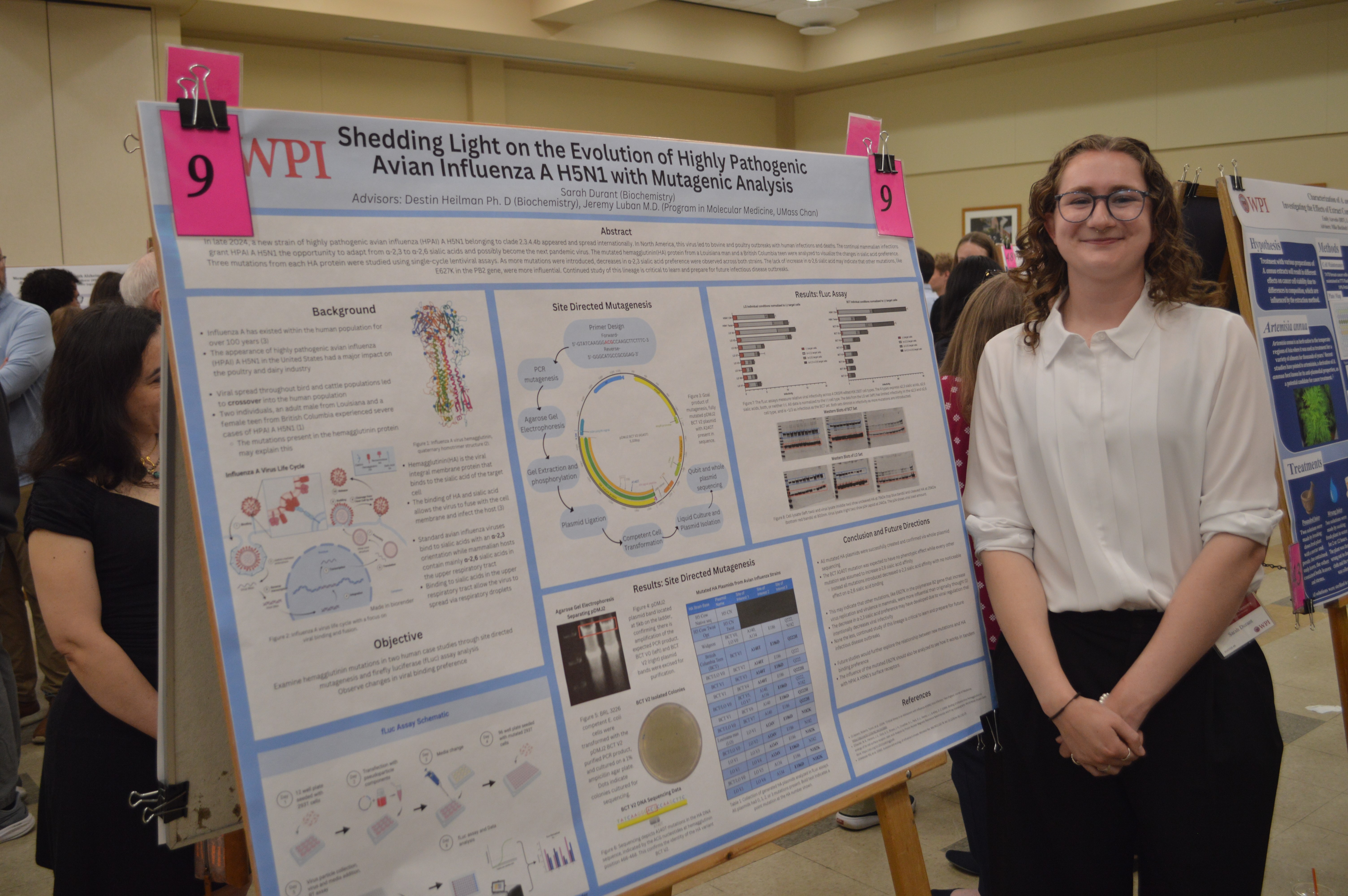 Sarah Durant MQP